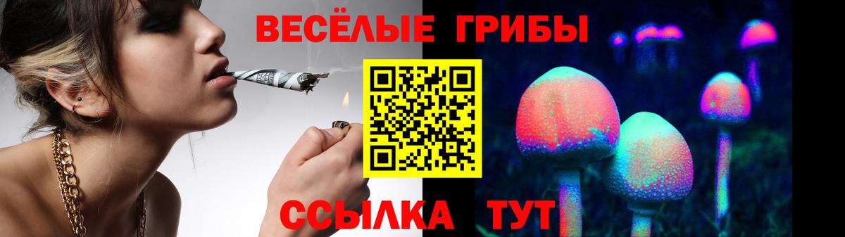Галлюциногенные грибы ЛСД Печора